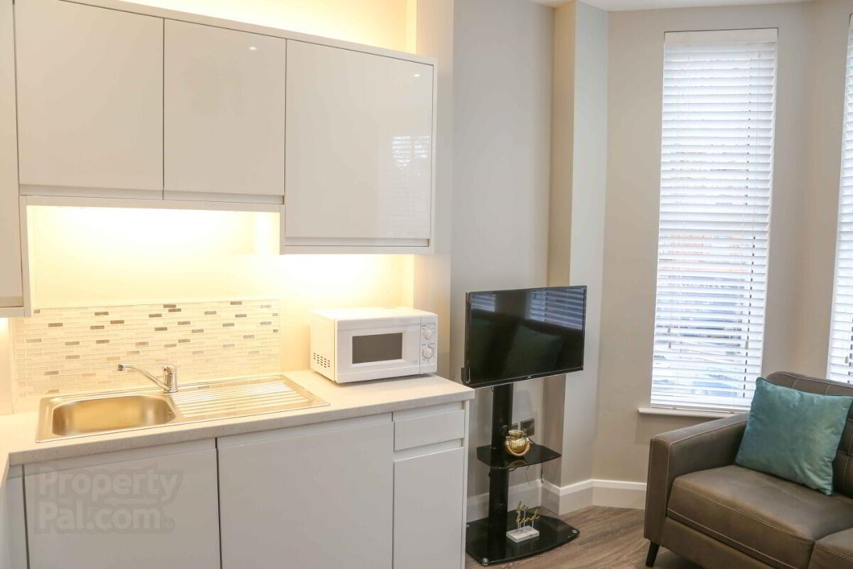 Apt 4, 61 Eglantine Avenue 3 of 11