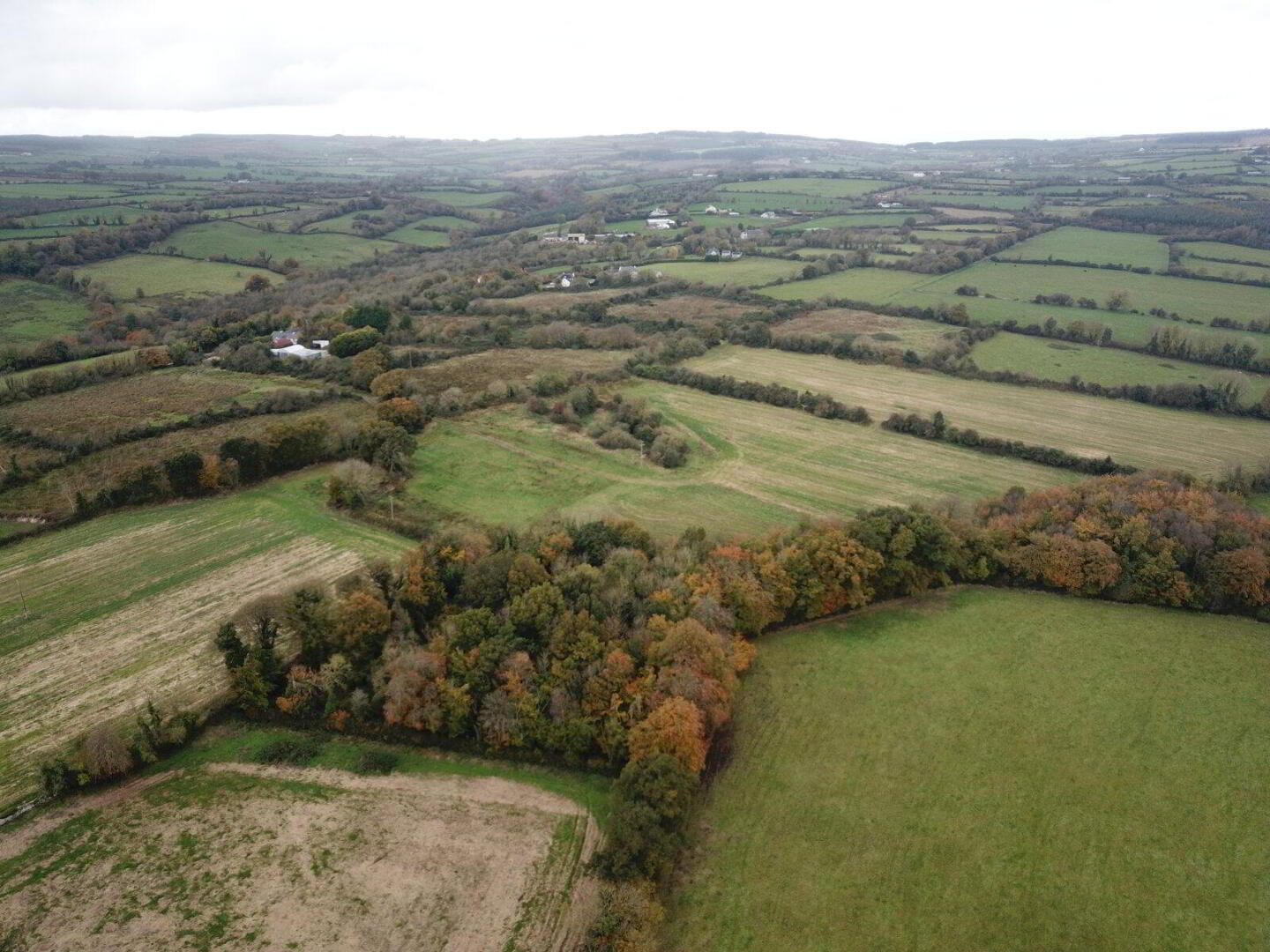 Lands, At Kiltown 1 of 5