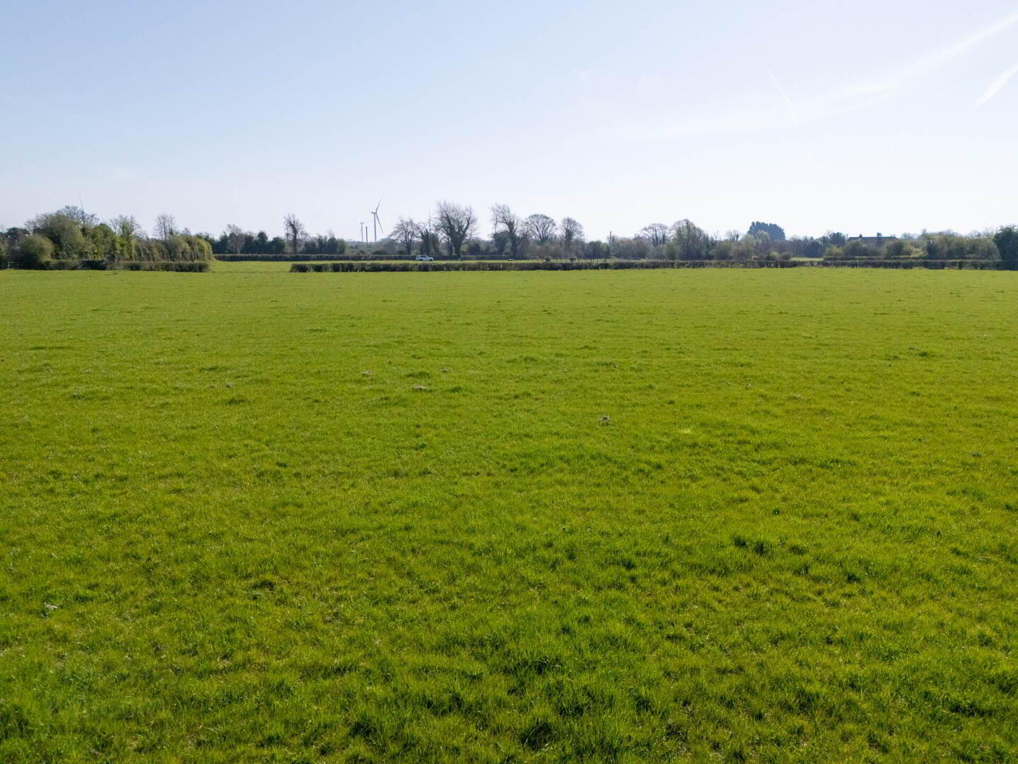 Kilcooney 4 of 7