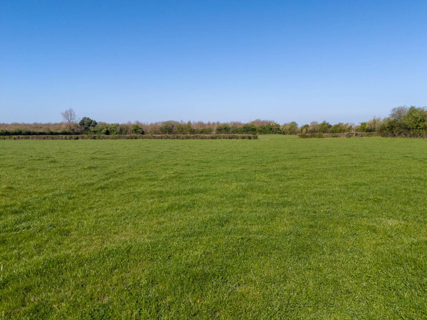 Kilcooney 6 of 7