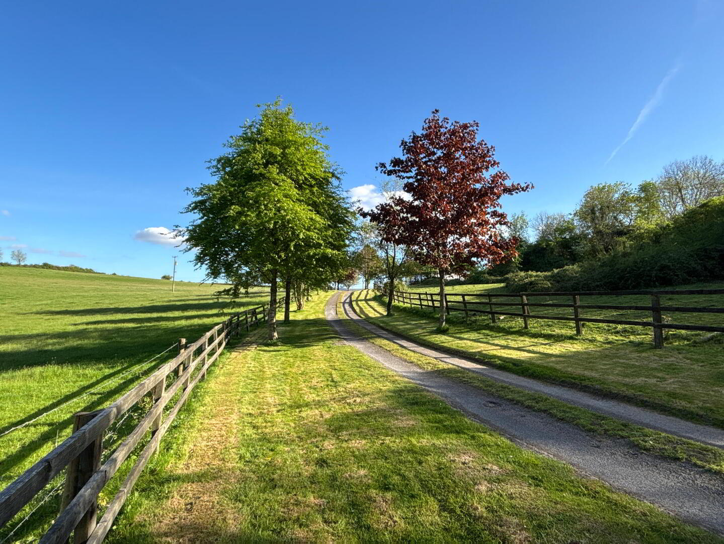 Moortown House, Rathronan 43 of 44