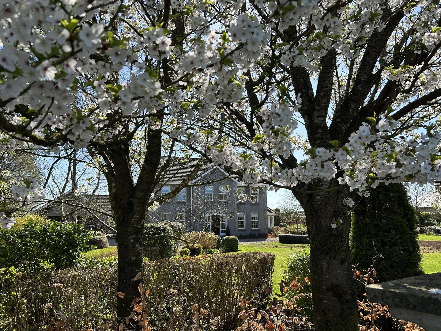 property description image