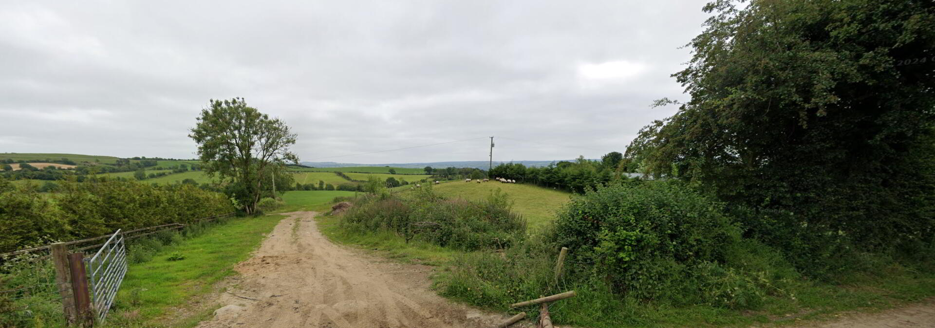 Cavan Upper 1 of 4