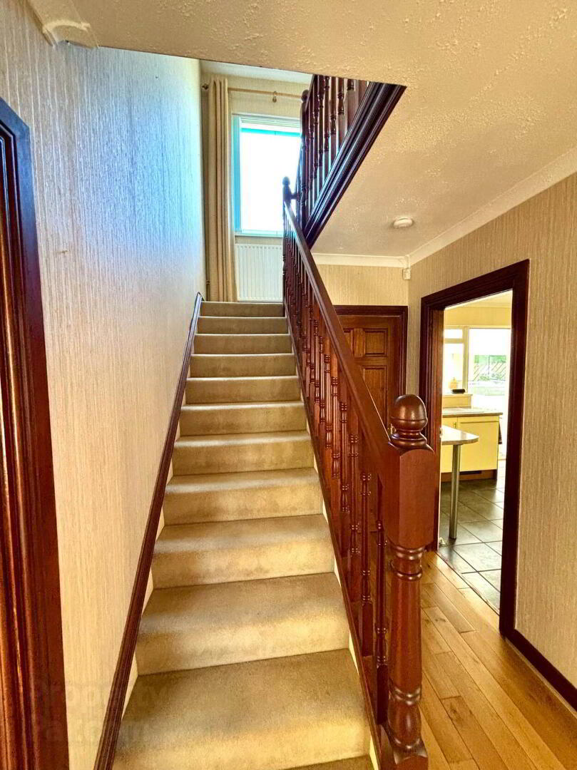 51 Downshire Gardens 16 of 33