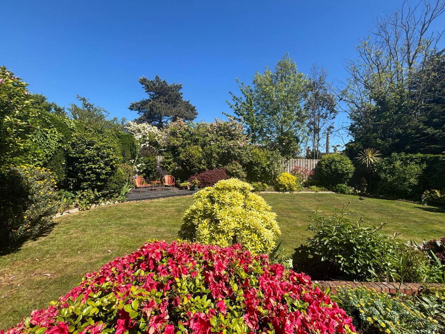 51 Downshire Gardens 30 of 33