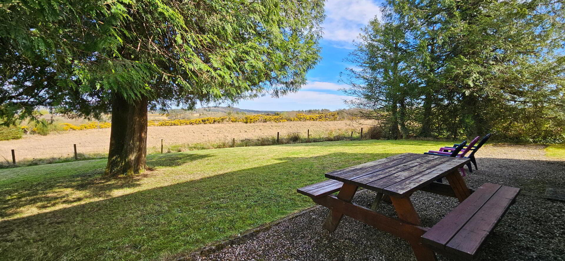 Cortrasna 21 of 29