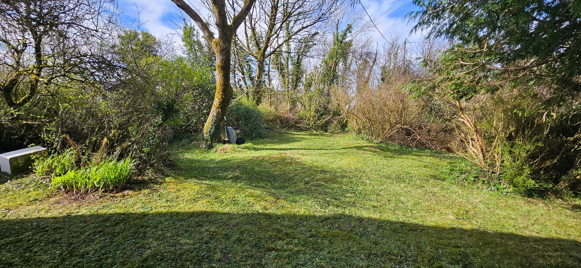 Cortrasna 23 of 29