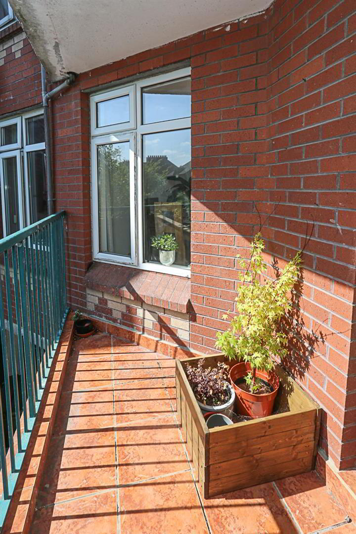 3 O'Neills Place 22 of 24