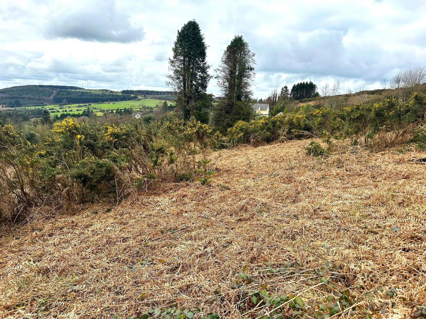 7.75 Acres, Inistoige 4 of 7