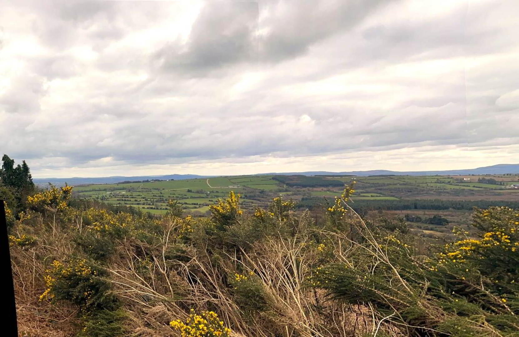 7.75 Acres, Inistoige 5 of 7