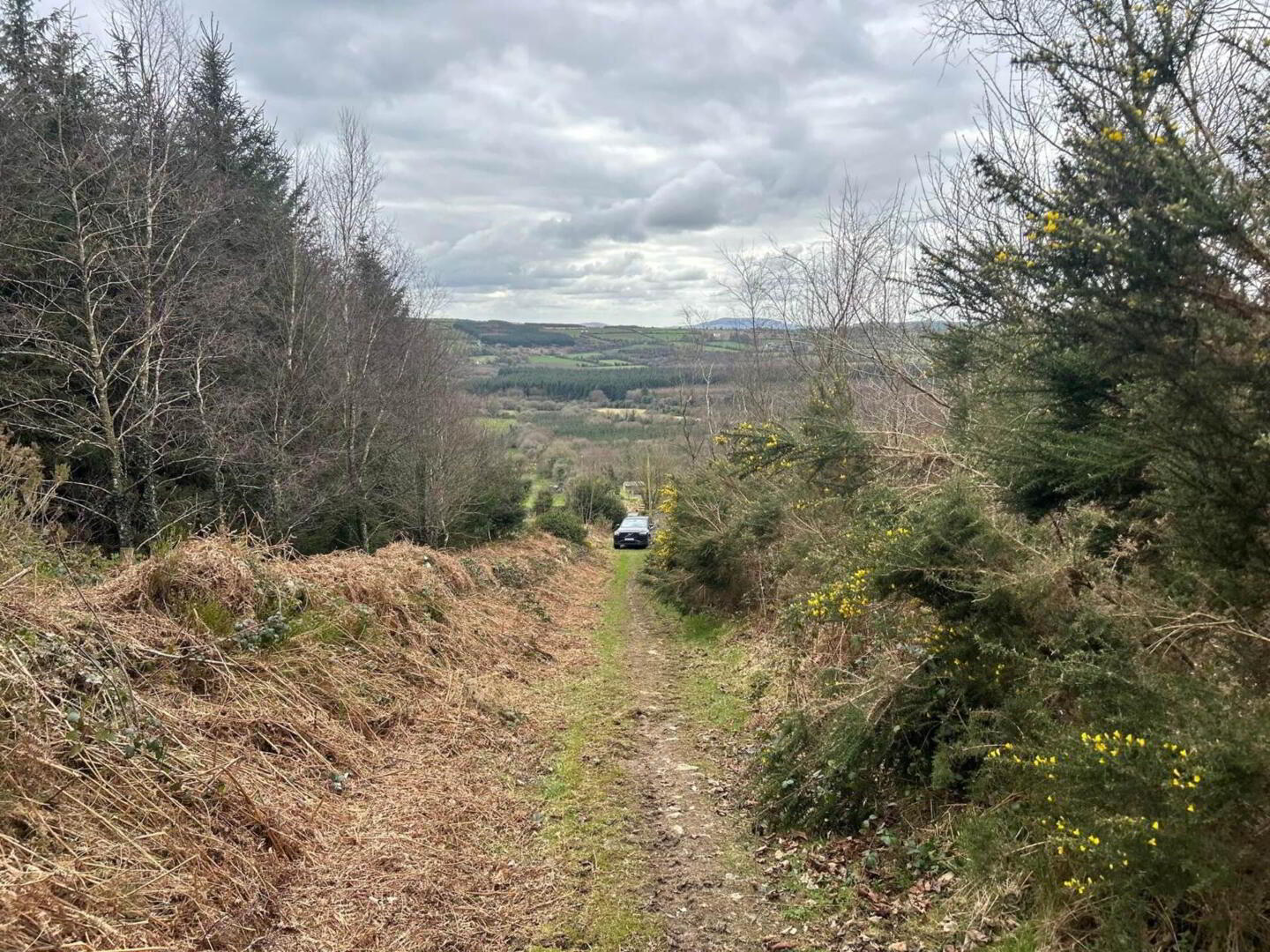 7.75 Acres, Inistoige 6 of 7