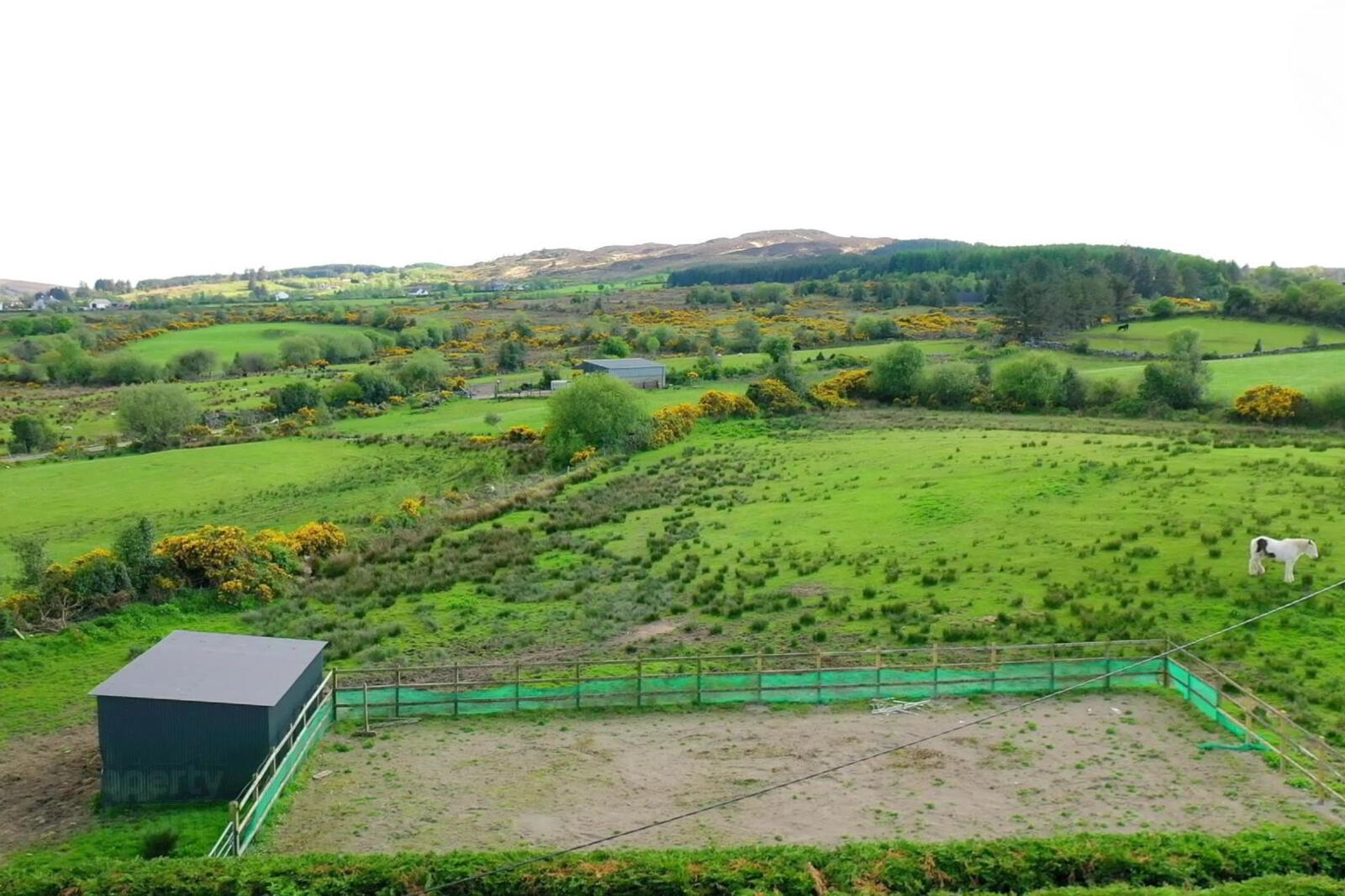 Carrickmagrath 43 of 51
