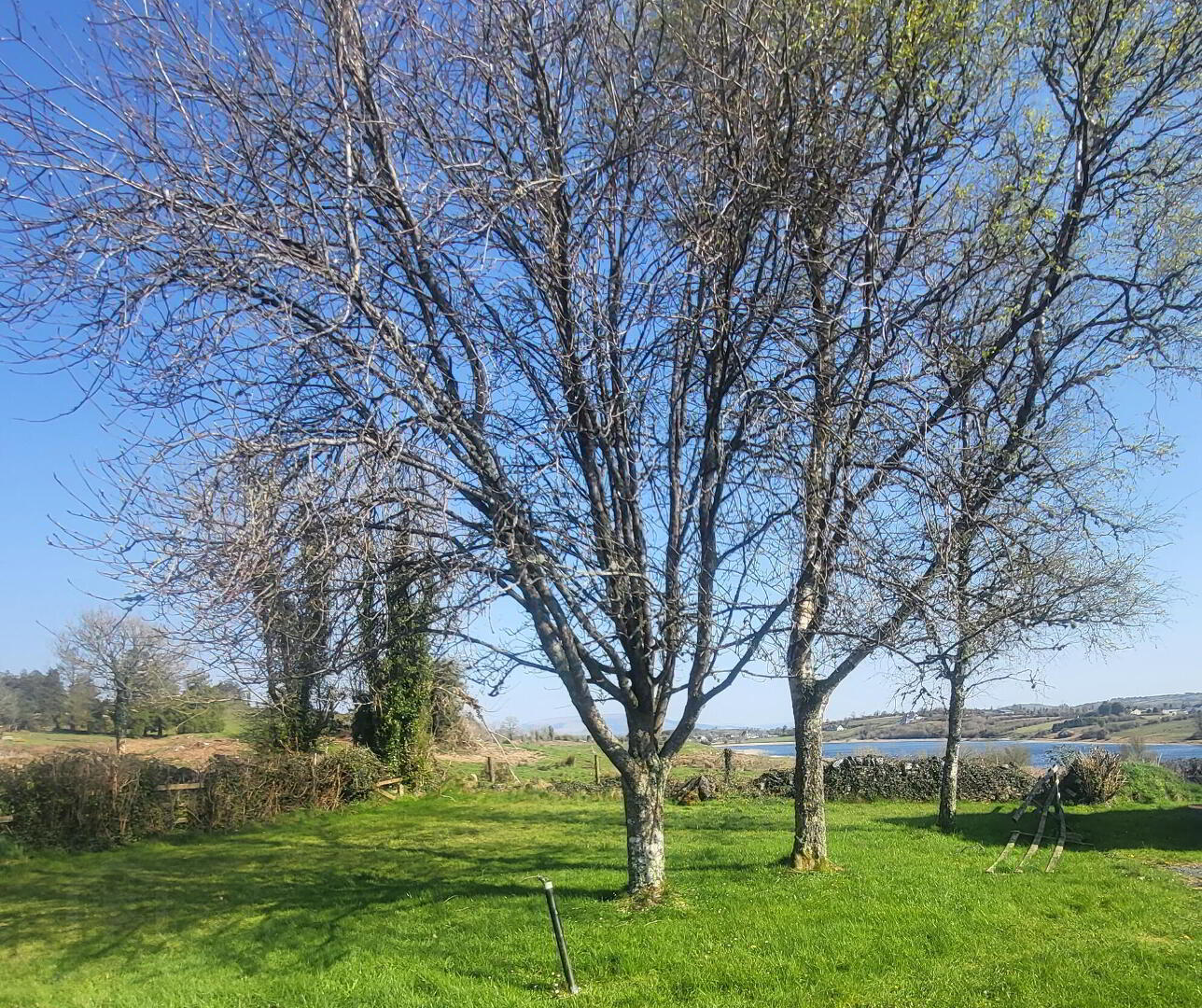3 Loughbran Cottages 8 of 25