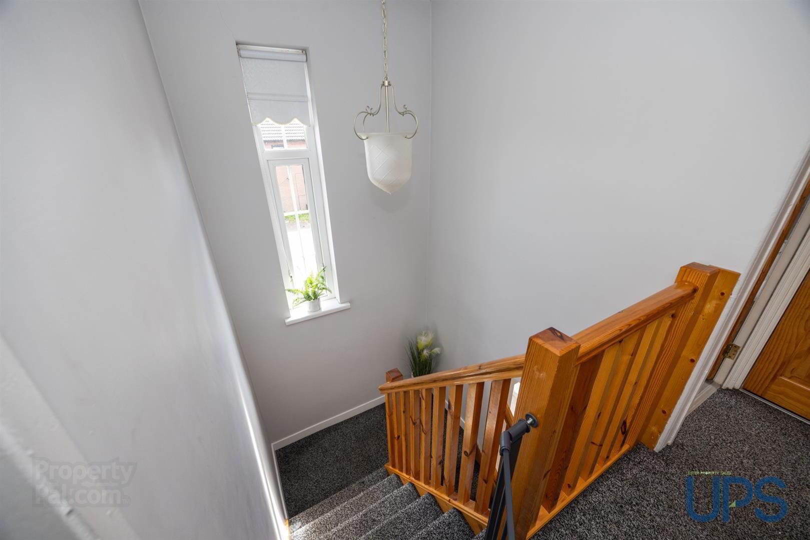 6 Glenwood Crescent 14 of 28