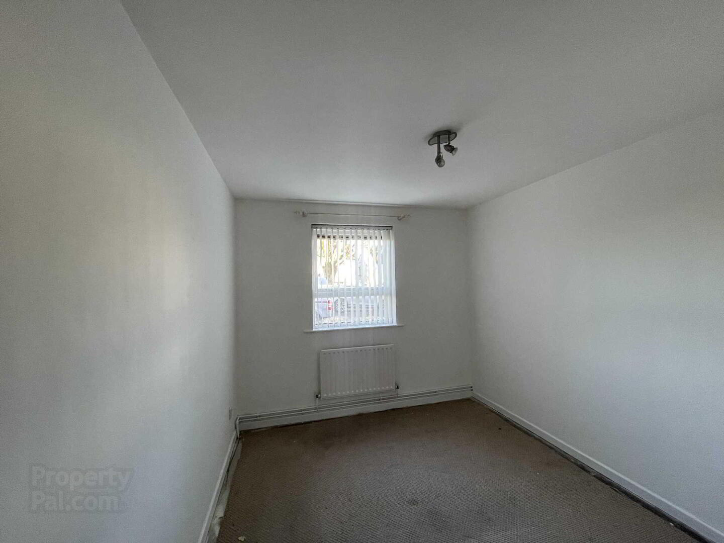 60a Killuney Drive 10 of 11