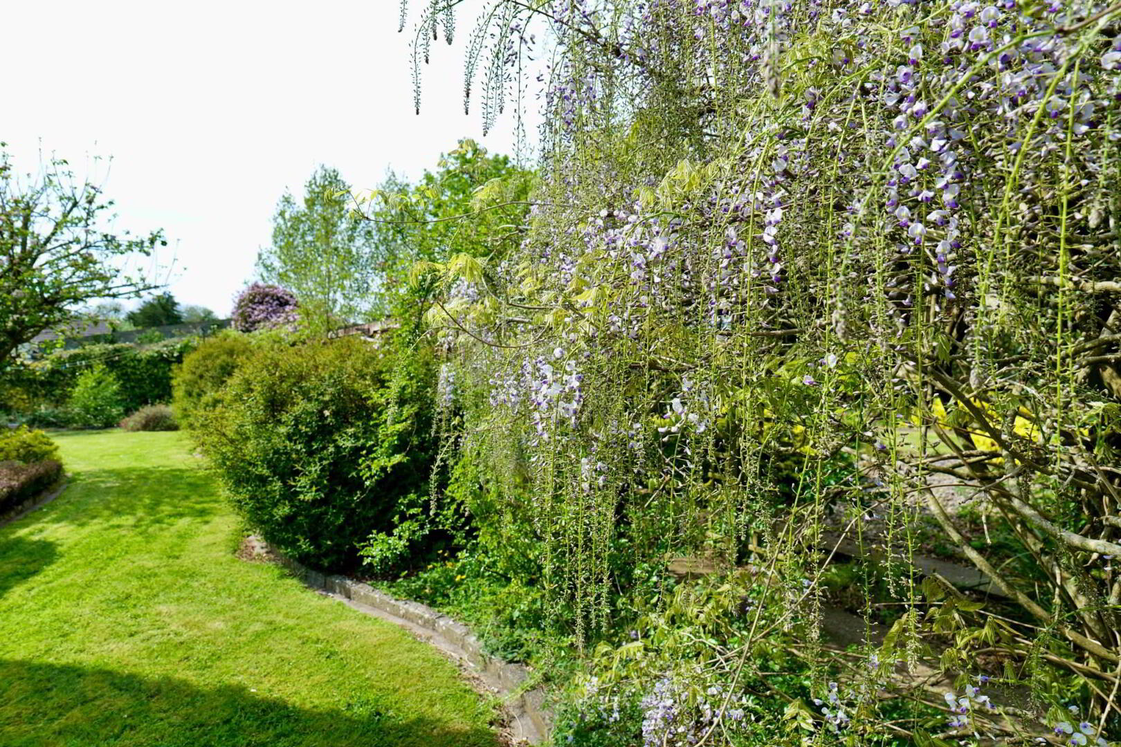 Smiths Road 29 of 34