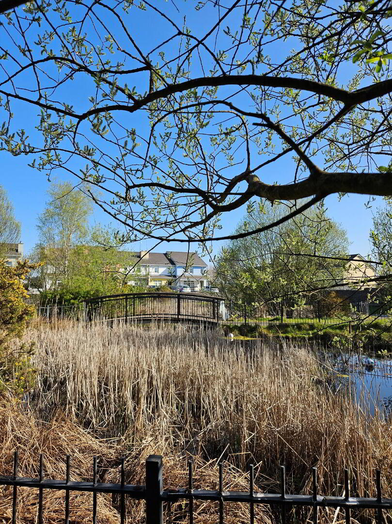12 Mulberry Apartments 3 of 25