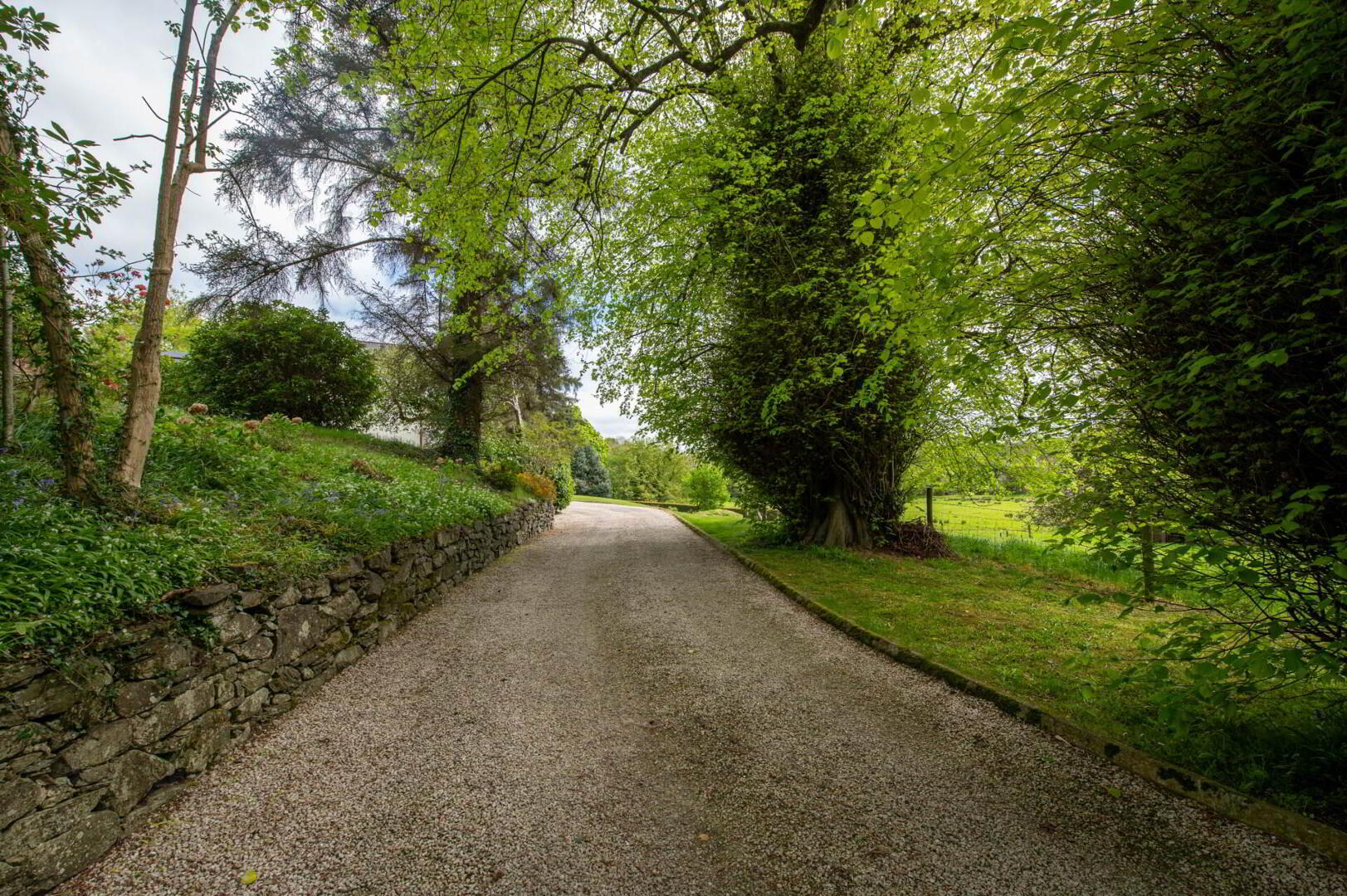 Ballyarr House, Ramelton 63 of 83