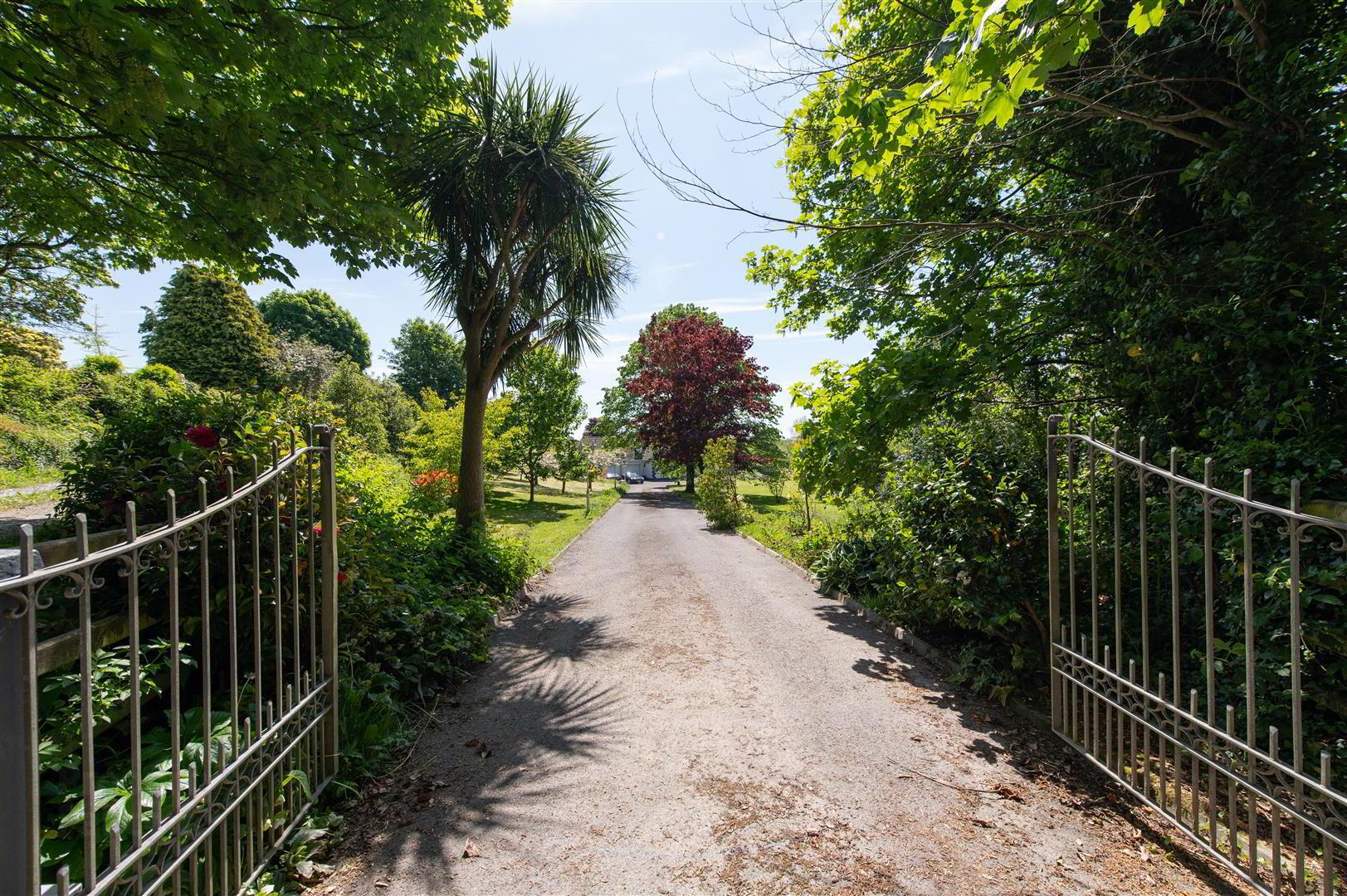 28 Manse Road 3 of 40