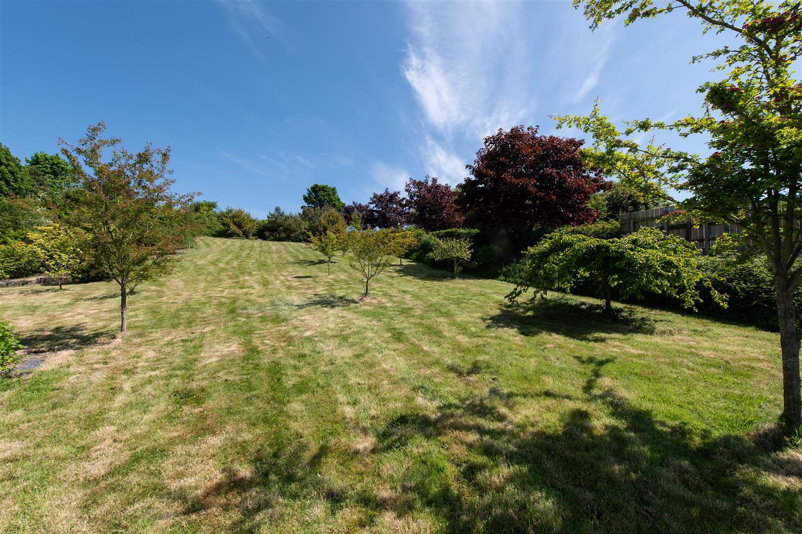 28 Manse Road 30 of 40