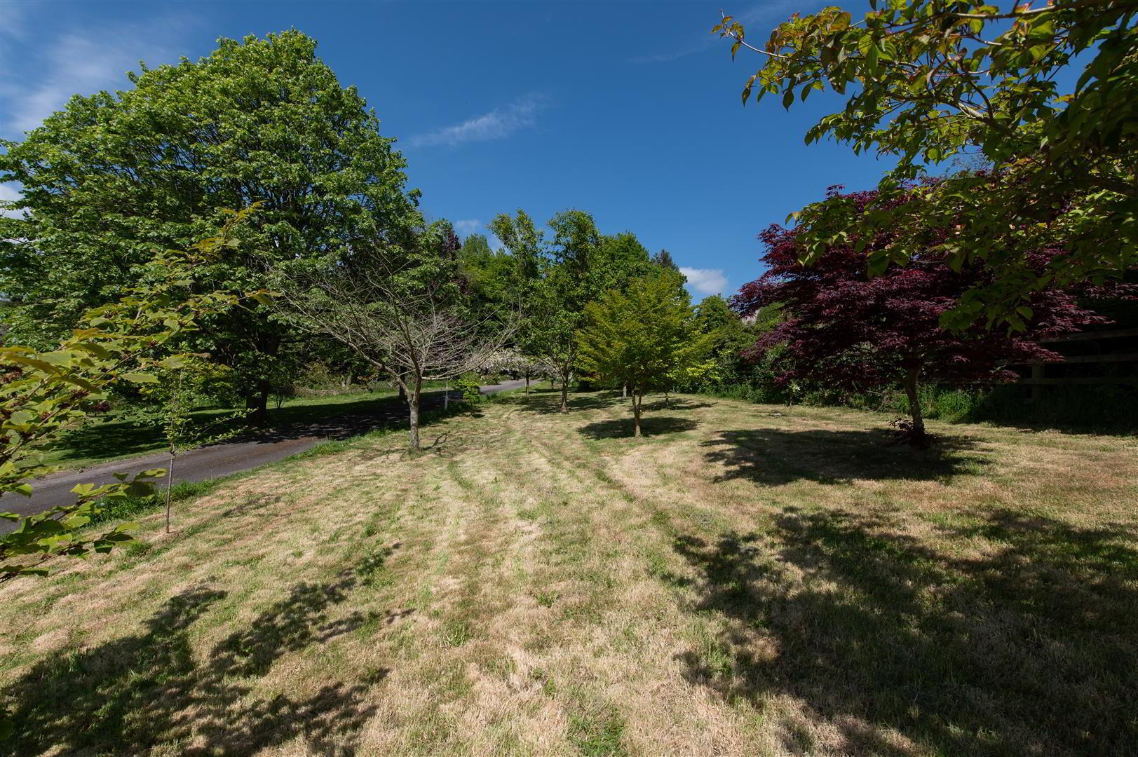 28 Manse Road 35 of 40
