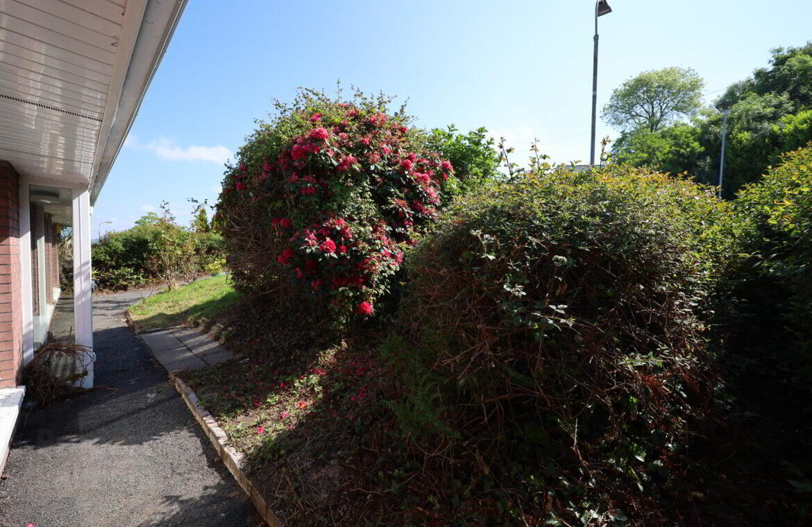 property description image