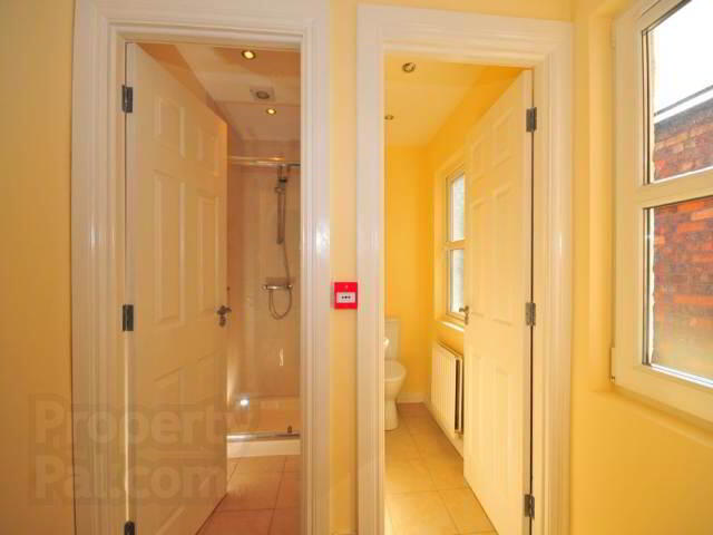 35 Landseer Street 4 of 9