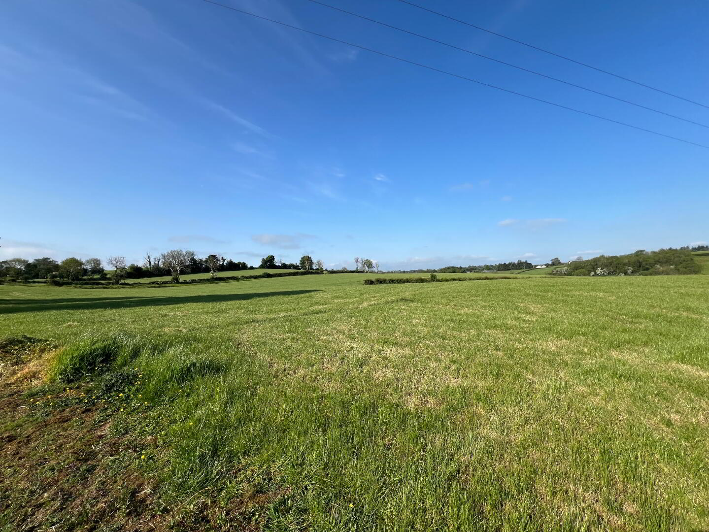 (56 Acres Farmholding), 6 Killycowan Lane 7 of 38