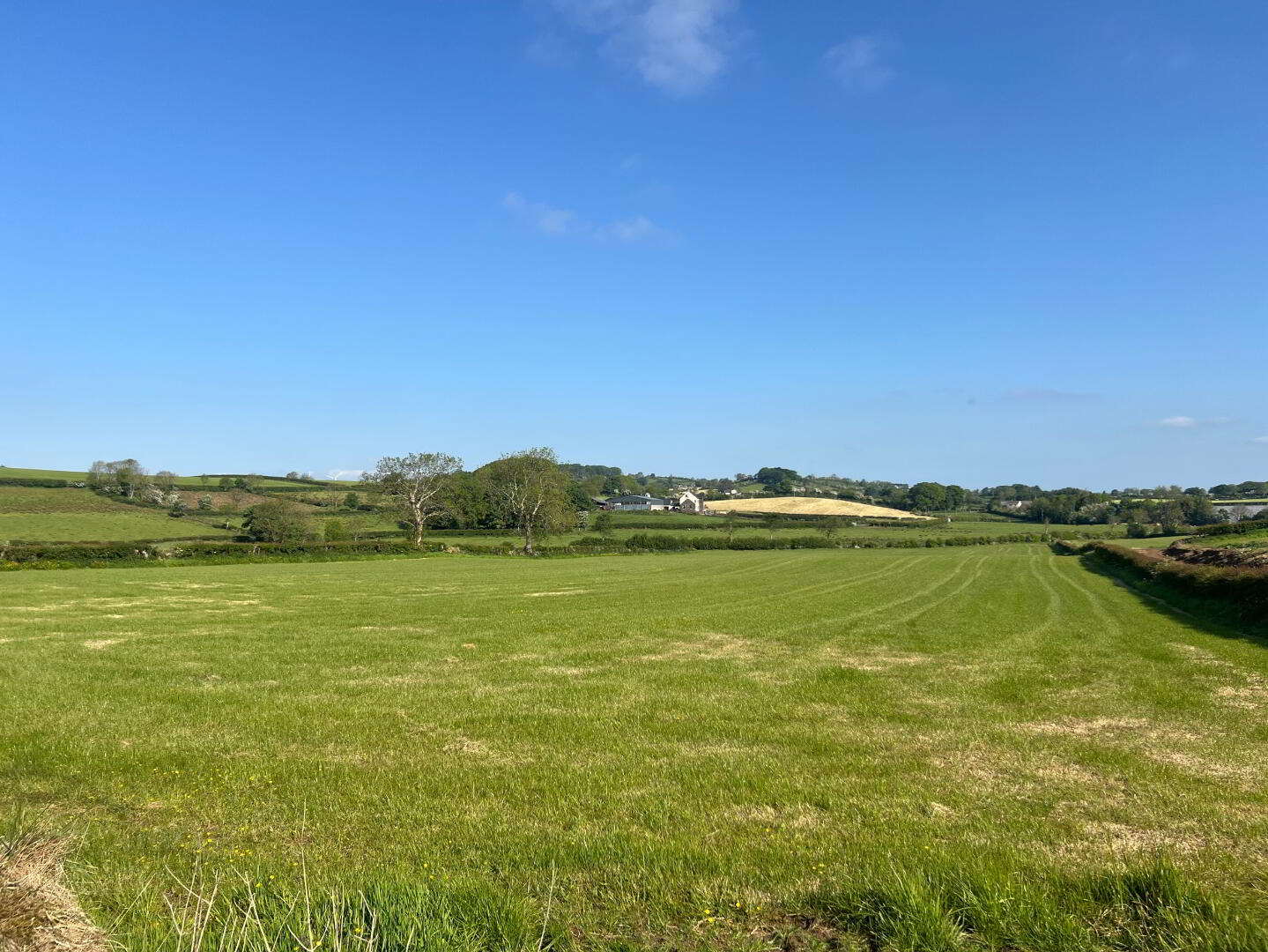 (56 Acres Farmholding), 6 Killycowan Lane 14 of 38