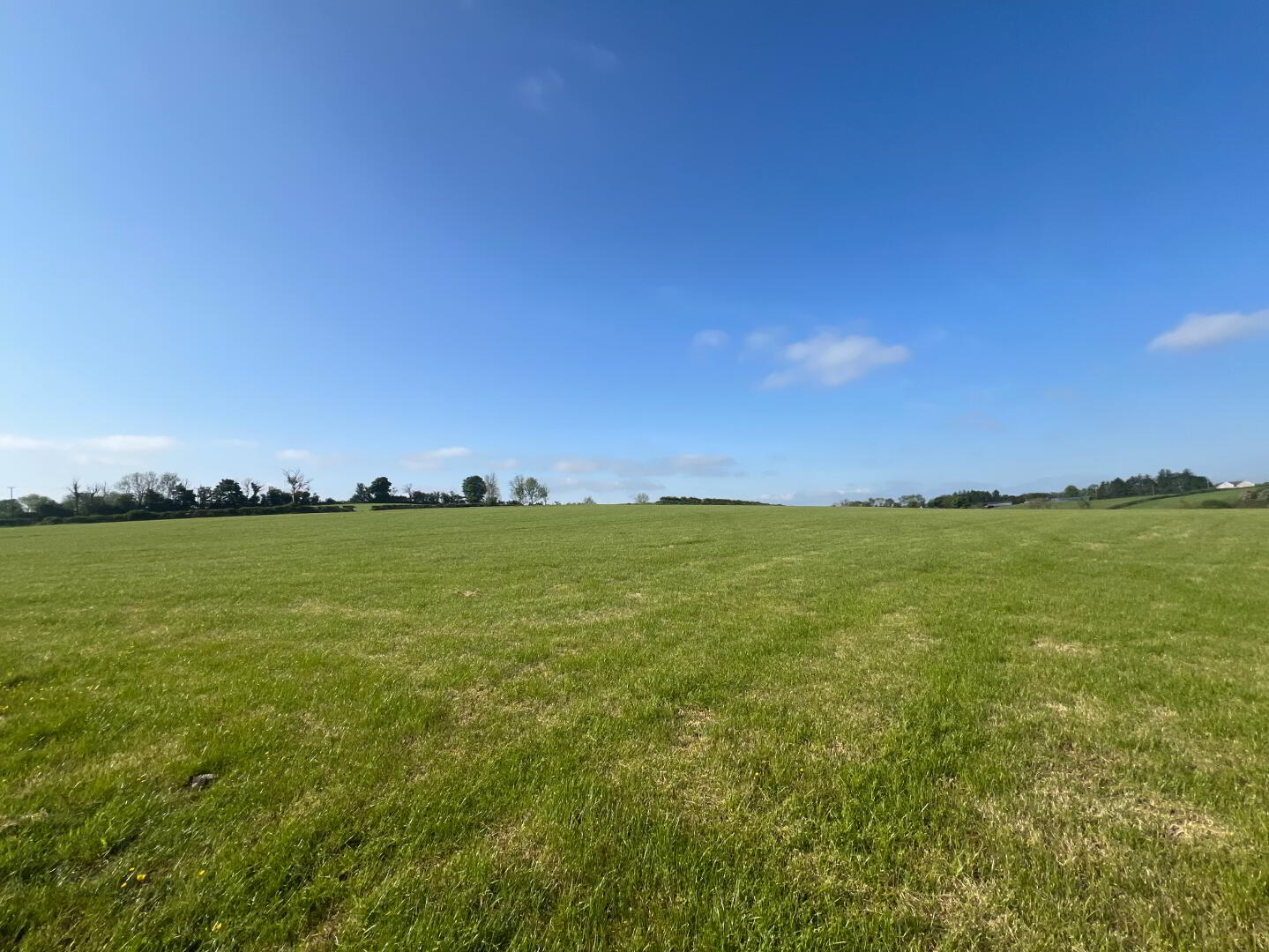 (56 Acres Farmholding), 6 Killycowan Lane 15 of 38