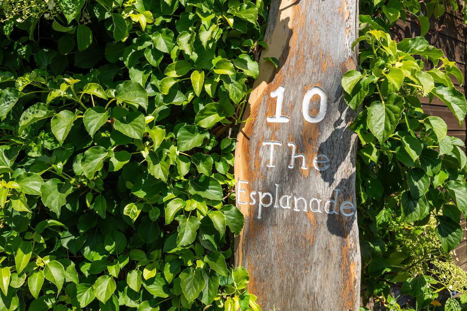 10 The Esplanade 3 of 16