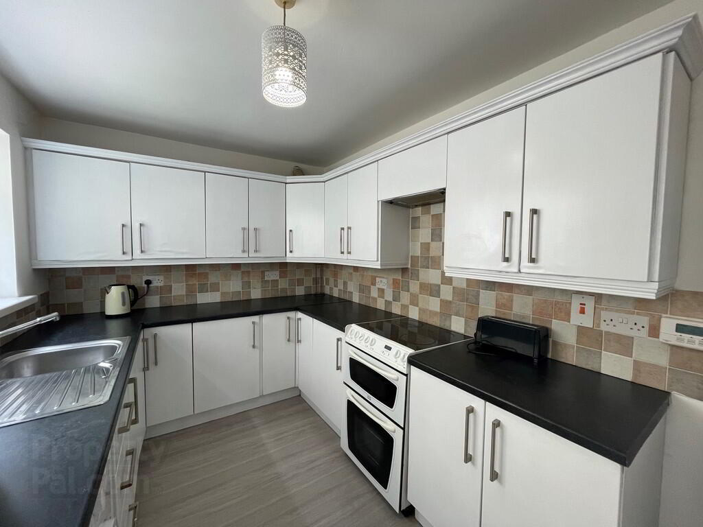 66 Hatfield Street 8 of 15
