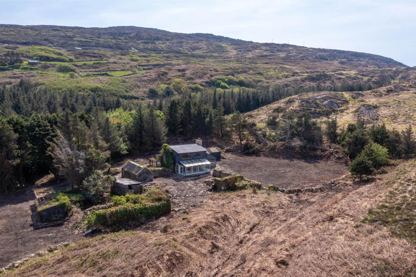 Ballyroon Mountain 4 of 17