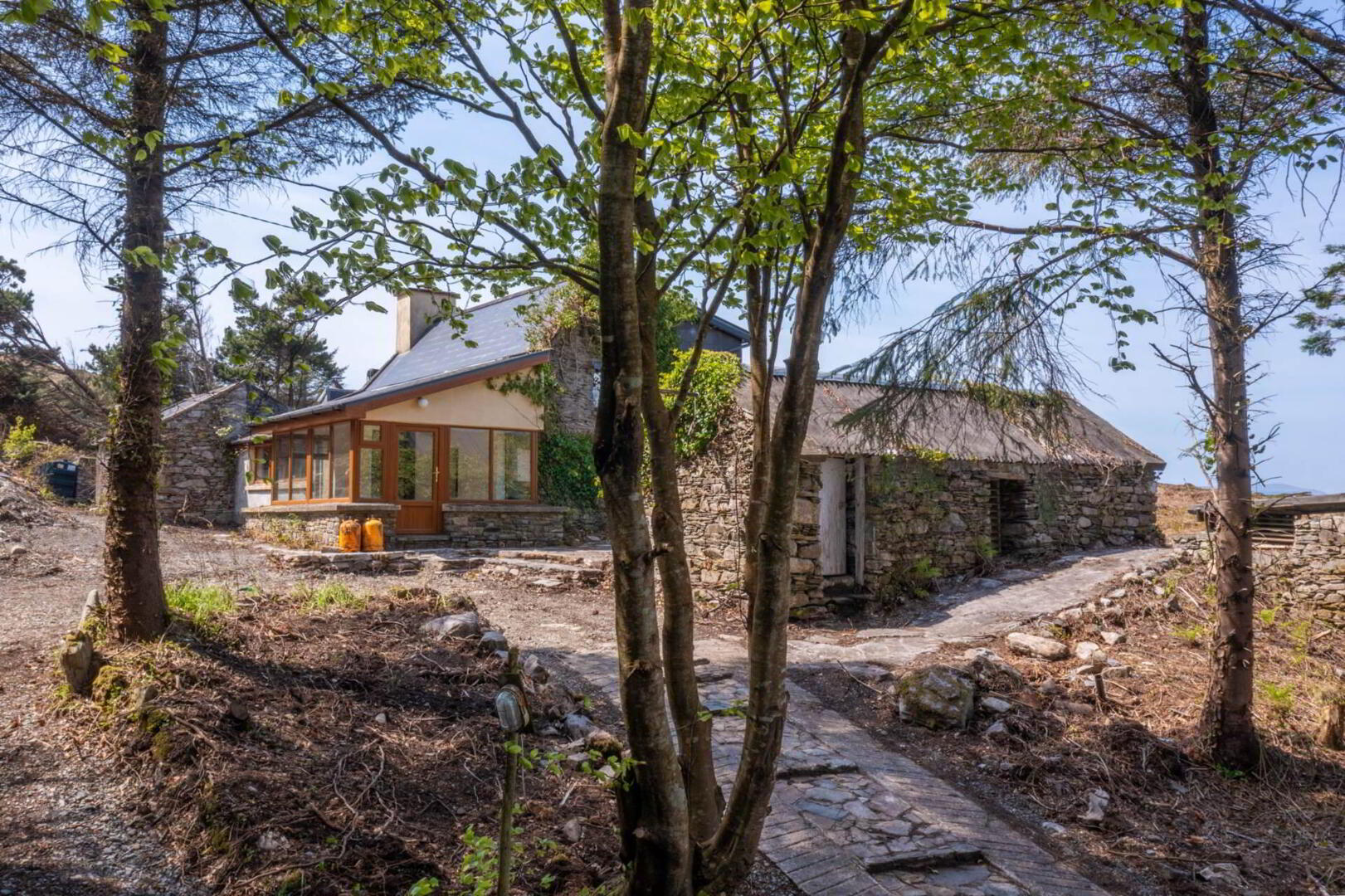 Ballyroon Mountain 8 of 17