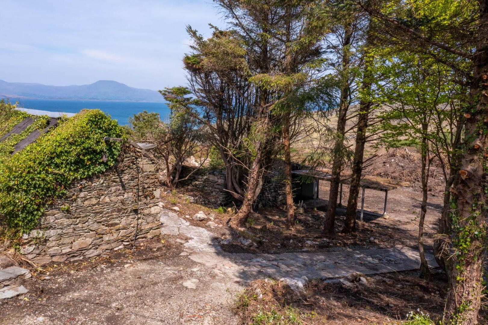 Ballyroon Mountain 14 of 17