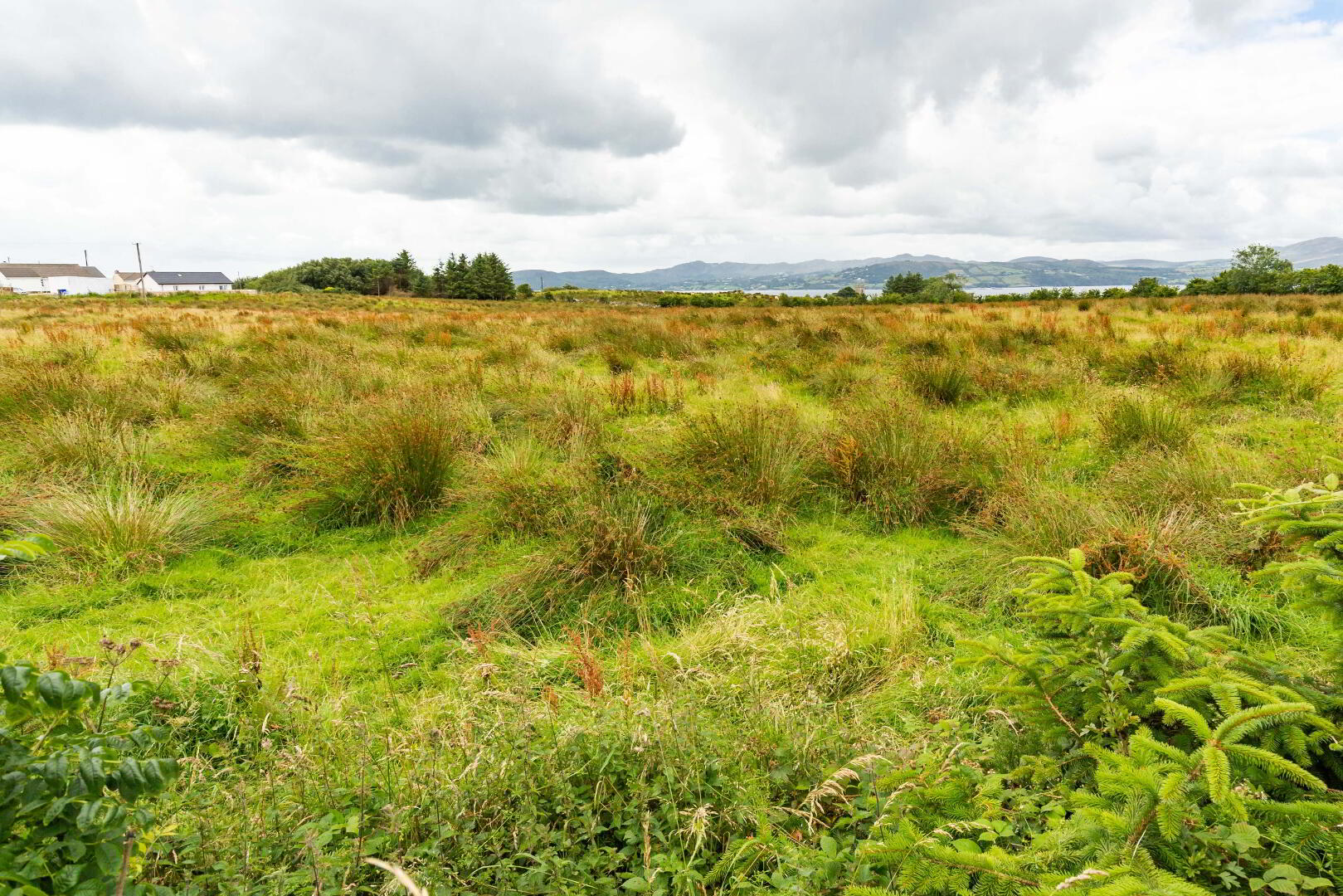 Linsfort Land 4 of 41