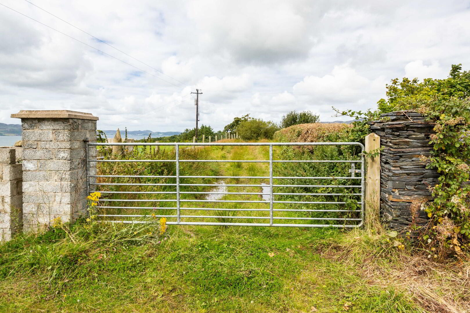Linsfort Land 5 of 41