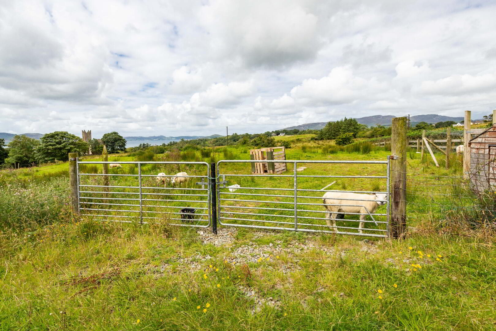 Linsfort Land 6 of 41