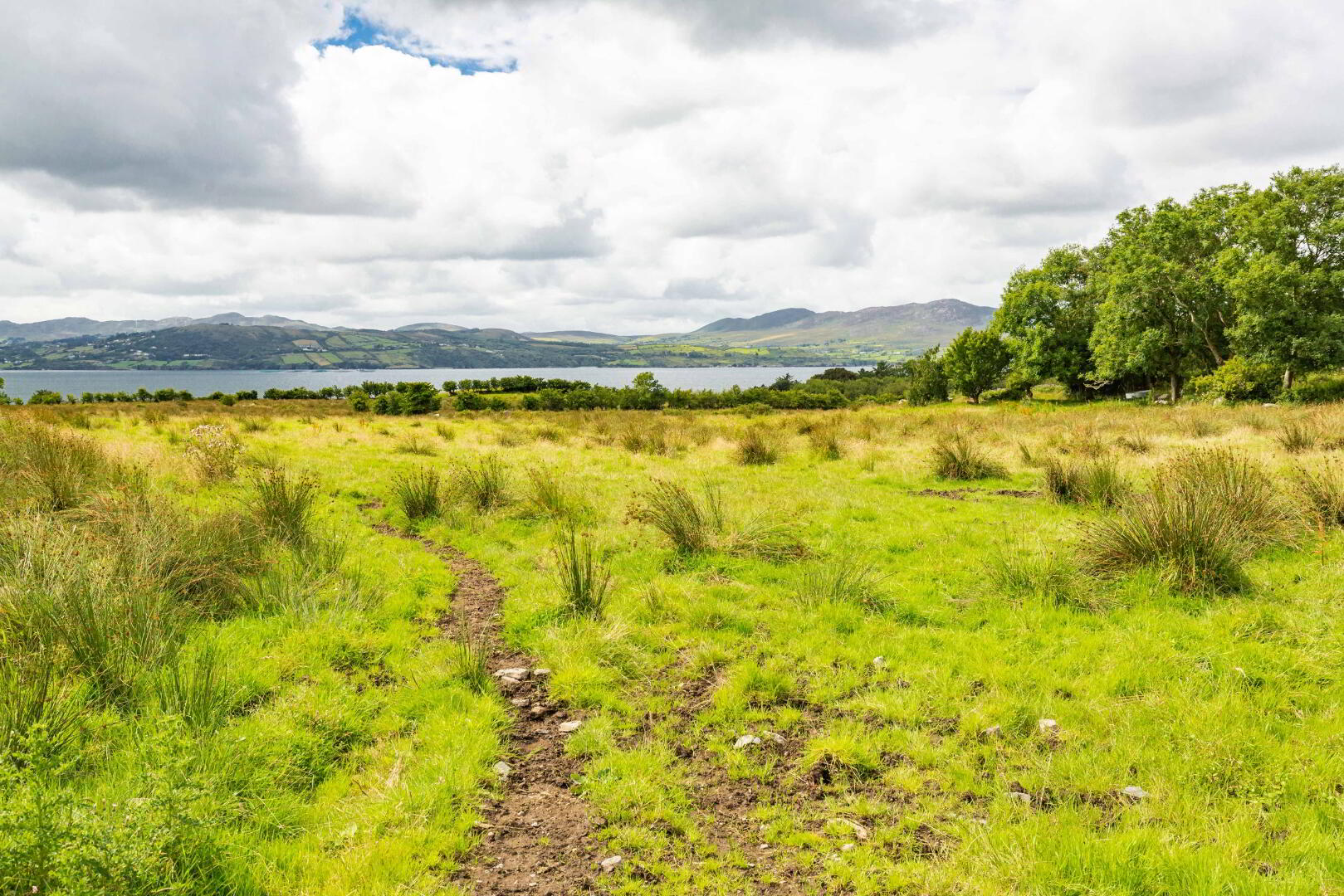Linsfort Land 12 of 41