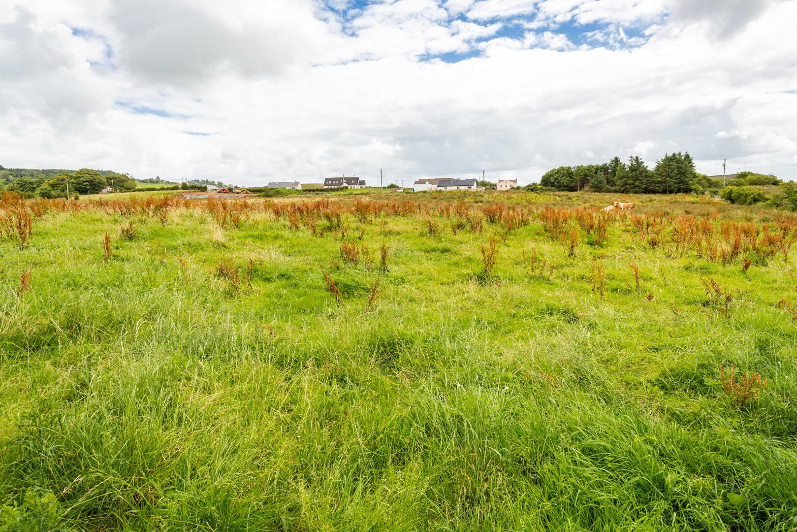 Linsfort Land 14 of 41