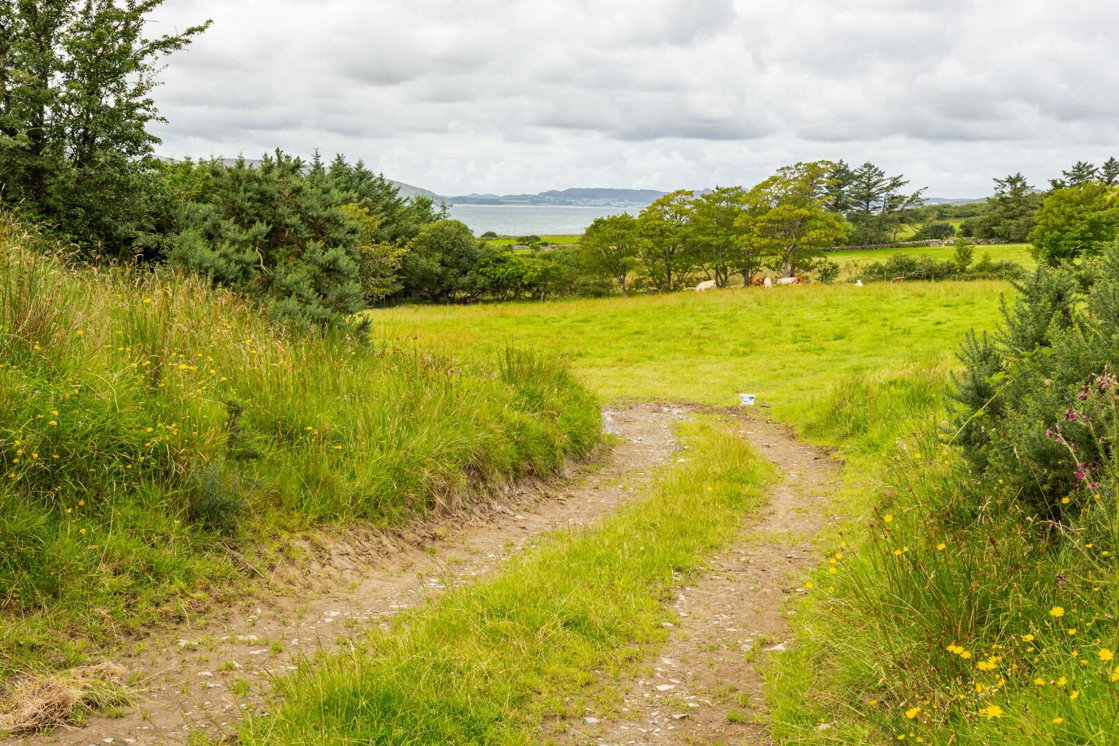 Linsfort Land 19 of 41