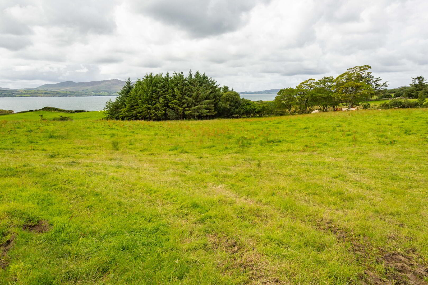 Linsfort Land 20 of 41