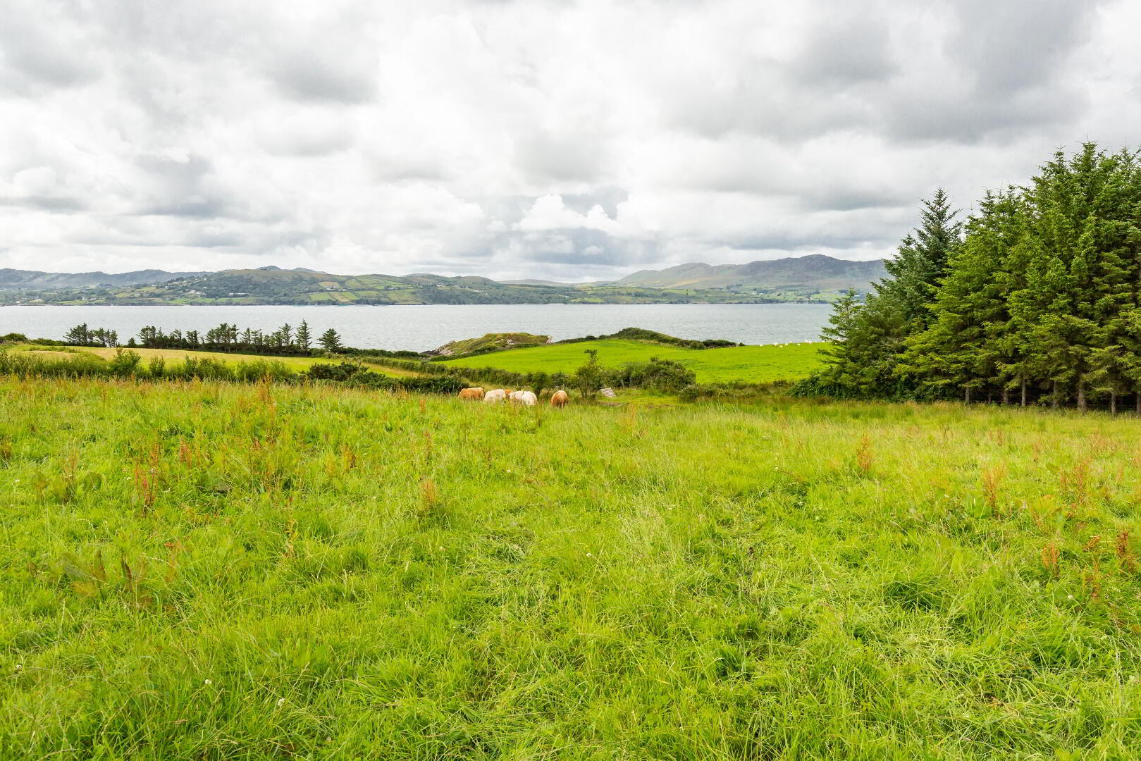 Linsfort Land 23 of 41