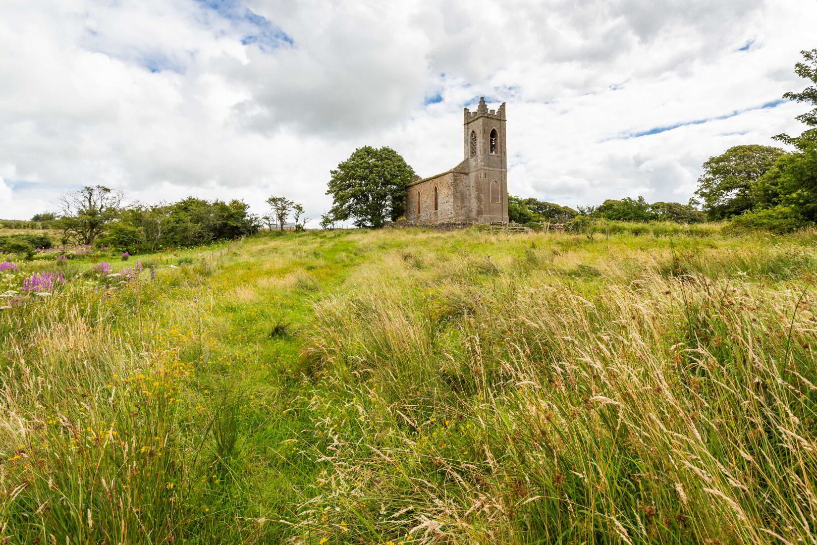 Linsfort Land 25 of 41