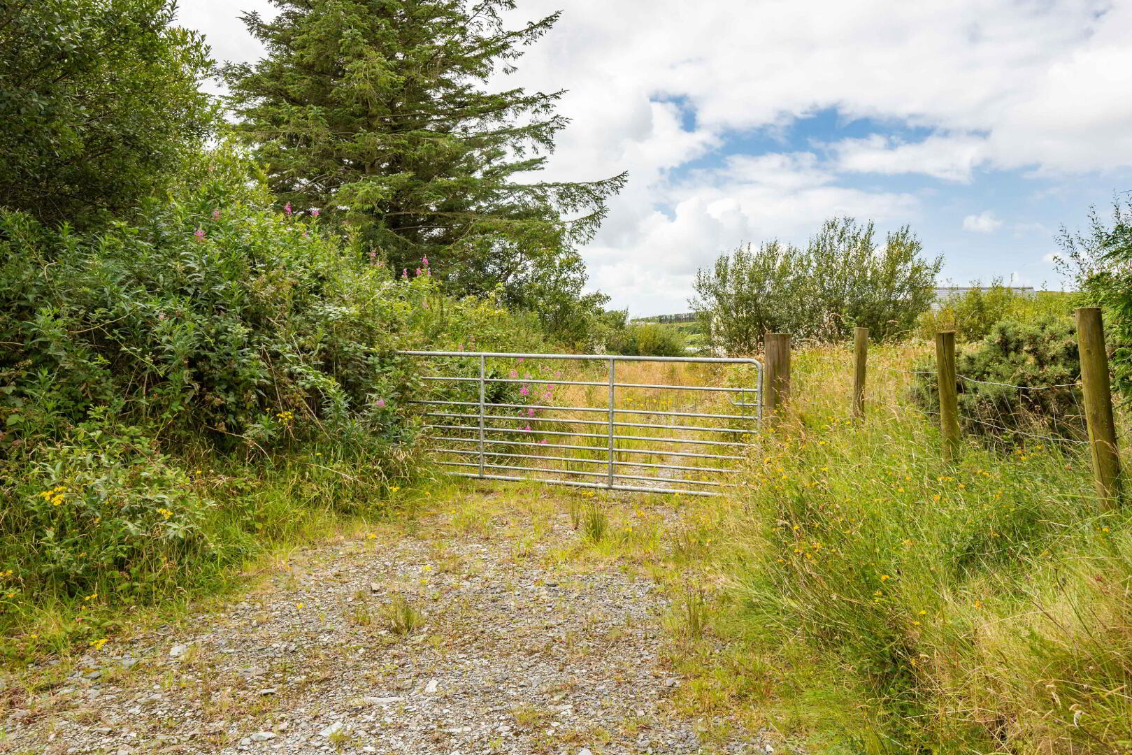 property description image