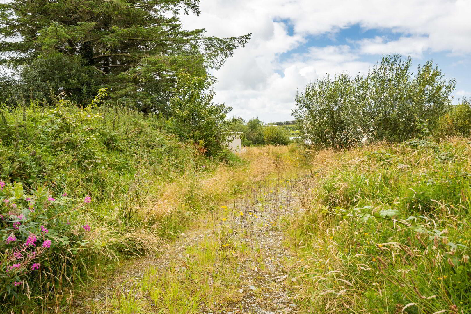 Lot 2 Gortleck Land 3 of 27
