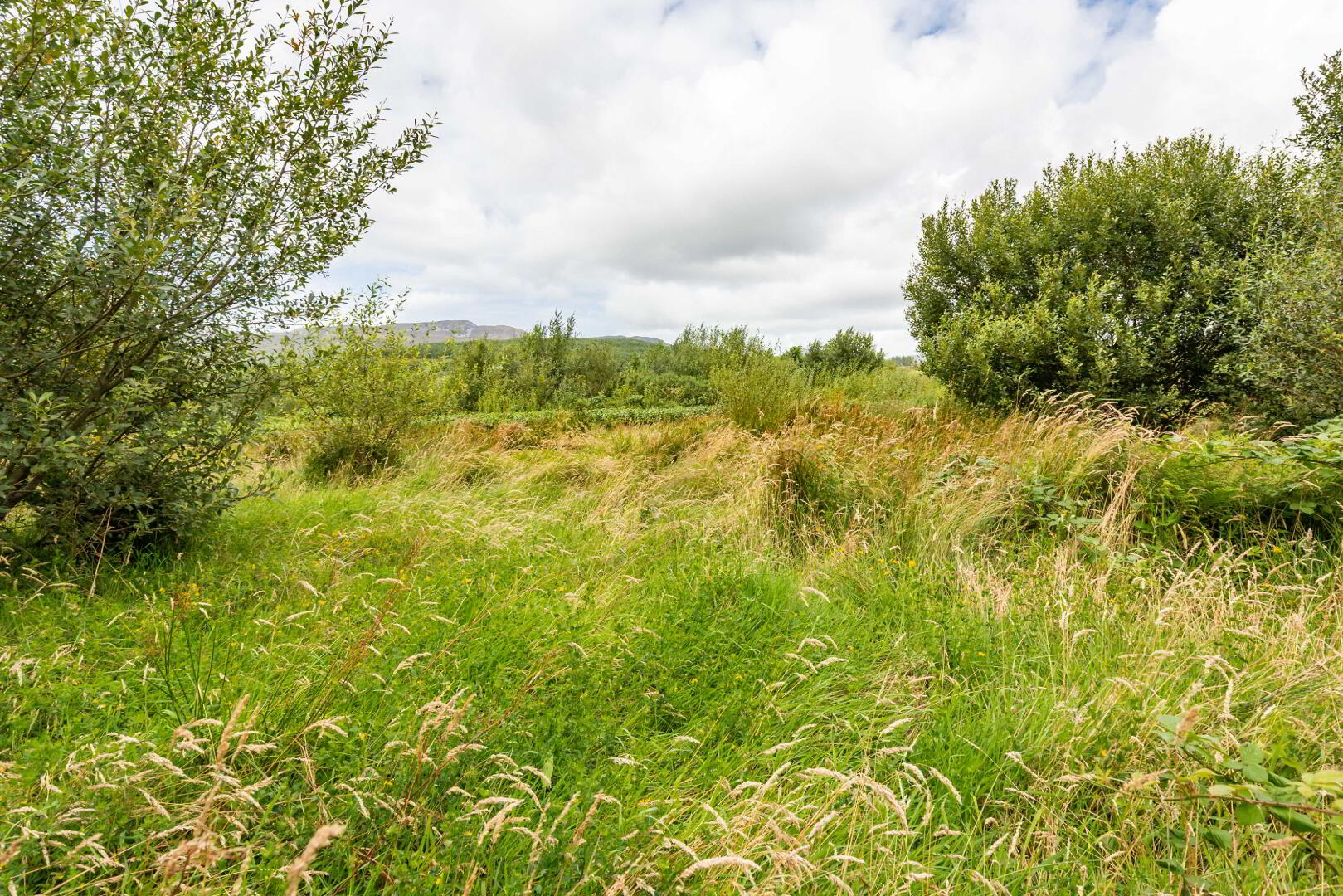 Lot 2 Gortleck Land 4 of 27
