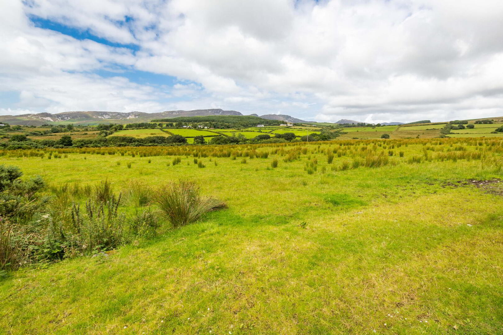 Lot 2 Gortleck Land 7 of 27