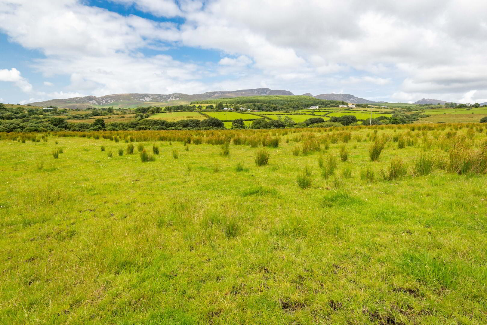 Lot 2 Gortleck Land 8 of 27