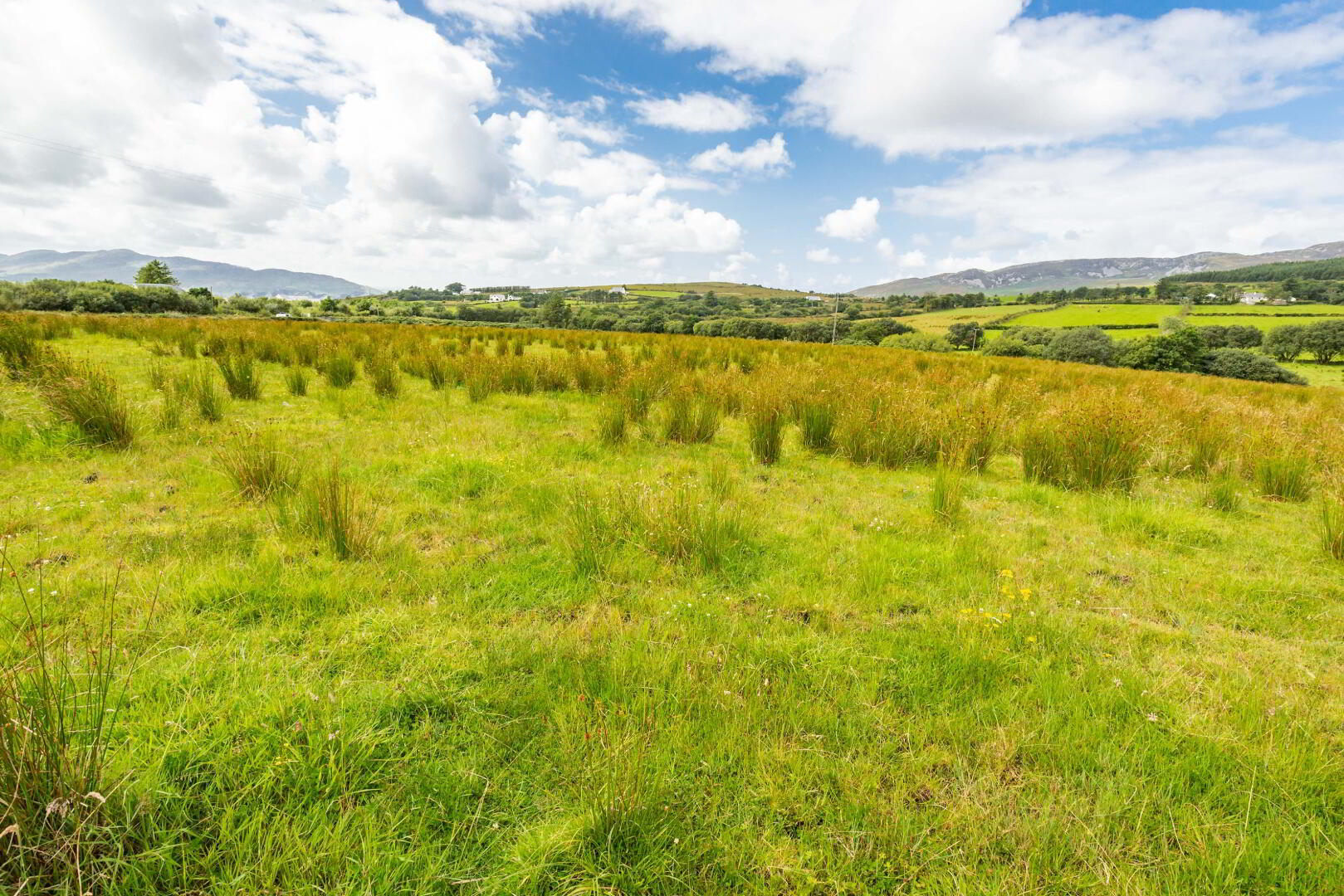 Lot 2 Gortleck Land 9 of 27